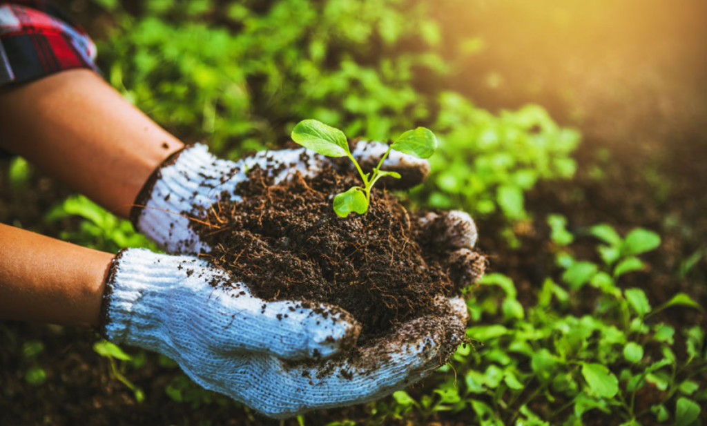 People in Need investește în viitorul agriculturii din Moldova