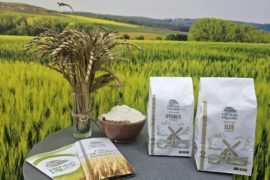 ORGANIC WHOLEGRAIN SPELT FLOUR and ORGANIC LIGHT SPELT FLOUR