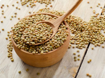 LENTILS